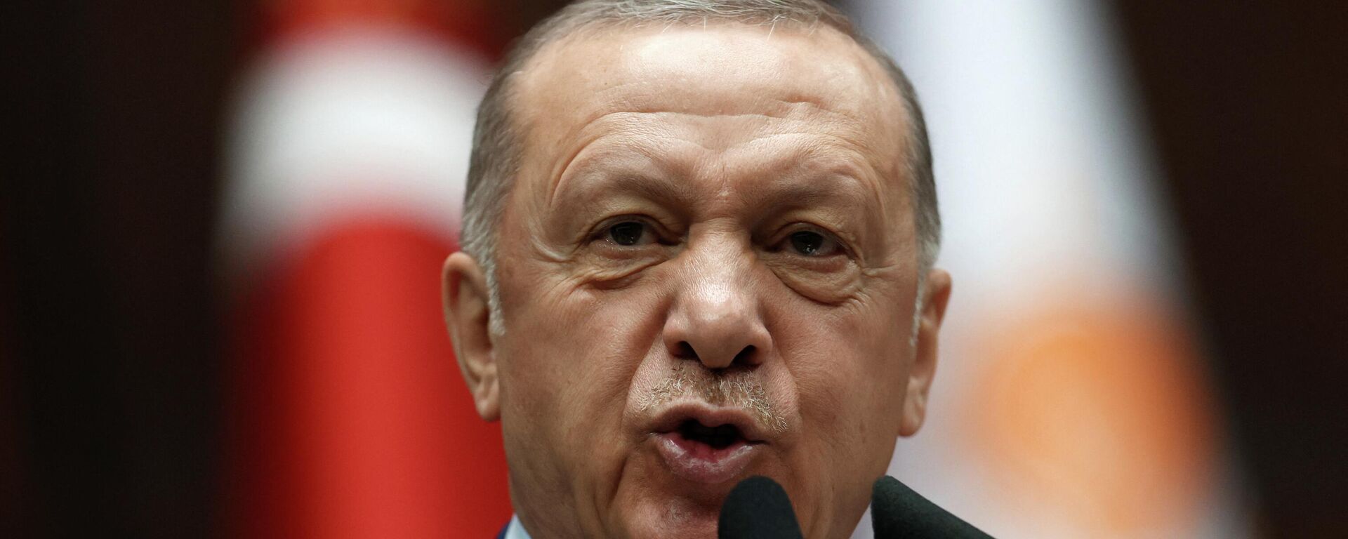 الرئيس التركي، رجب طيب أردوغان - سبوتنيك عربي, 1920, 08.08.2022