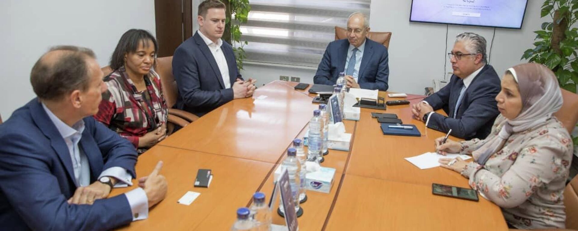 وفد من المؤسسة البريطانية الدولية للاستثمار يزور المنطقة الاقتصادية لقناة السويس - سبوتنيك عربي, 1920, 06.06.2022