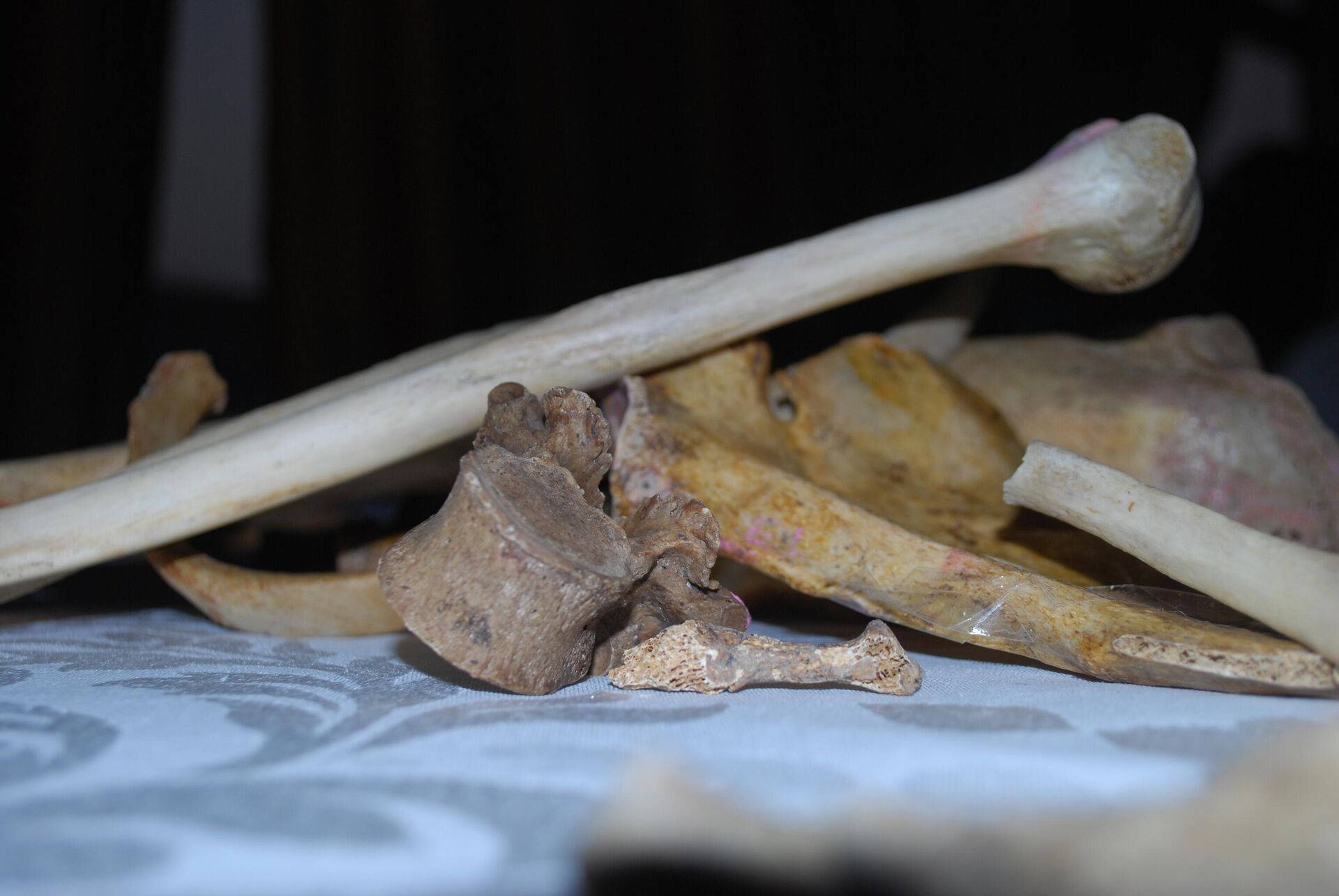 5 فرق للبحث عن مقابر داعش الجماعية في سوريا - سبوتنيك عربي, 1920, 07.06.2022