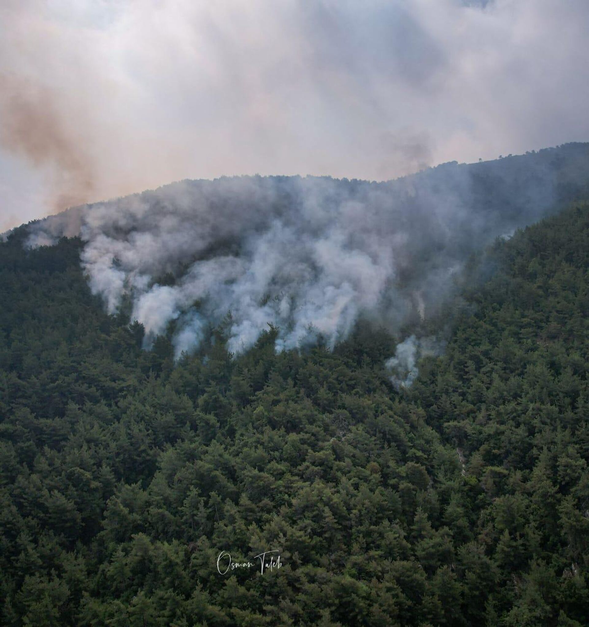 وزير البيئة اللبناني يكشف آخر تطورات وأسباب اندلاع الحرائق في غابة الصنوبر - سبوتنيك عربي, 1920, 08.06.2022