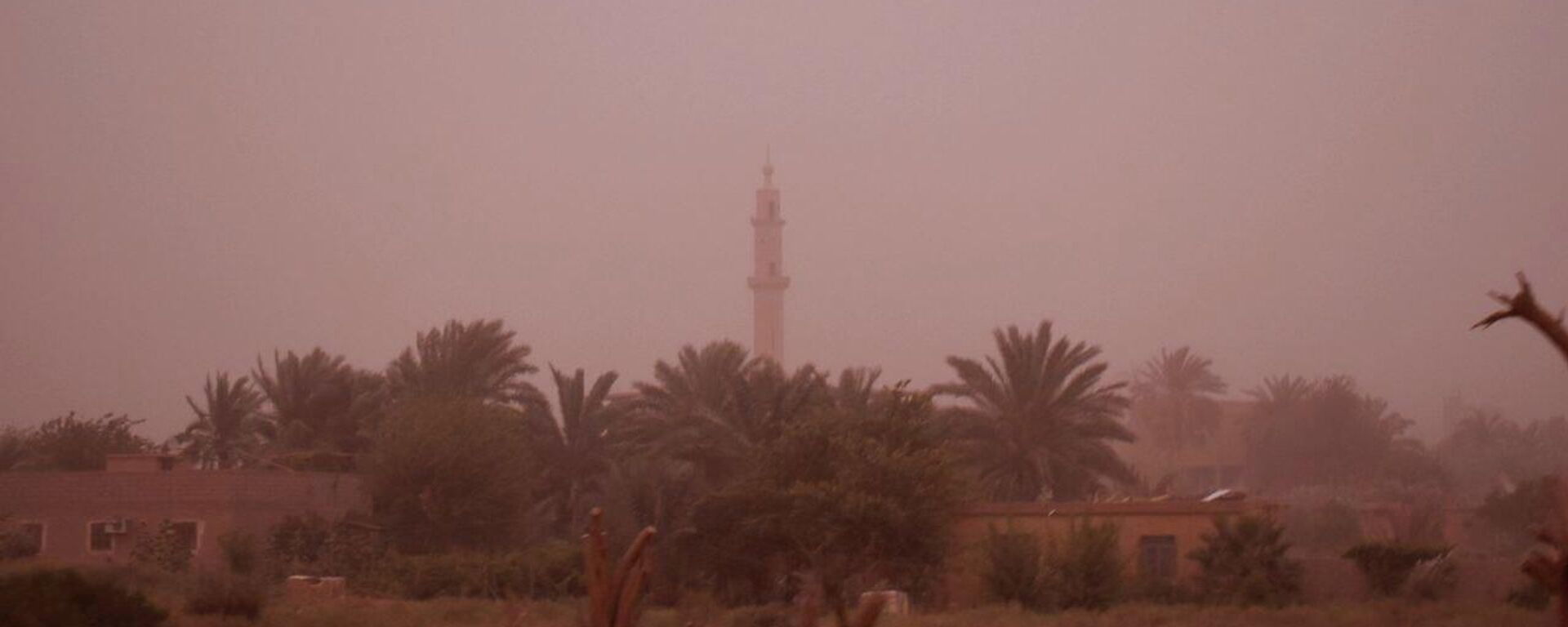 عاصفة غبارية في مدينة دير الزور شرقي سوريا
 - سبوتنيك عربي, 1920, 12.06.2022