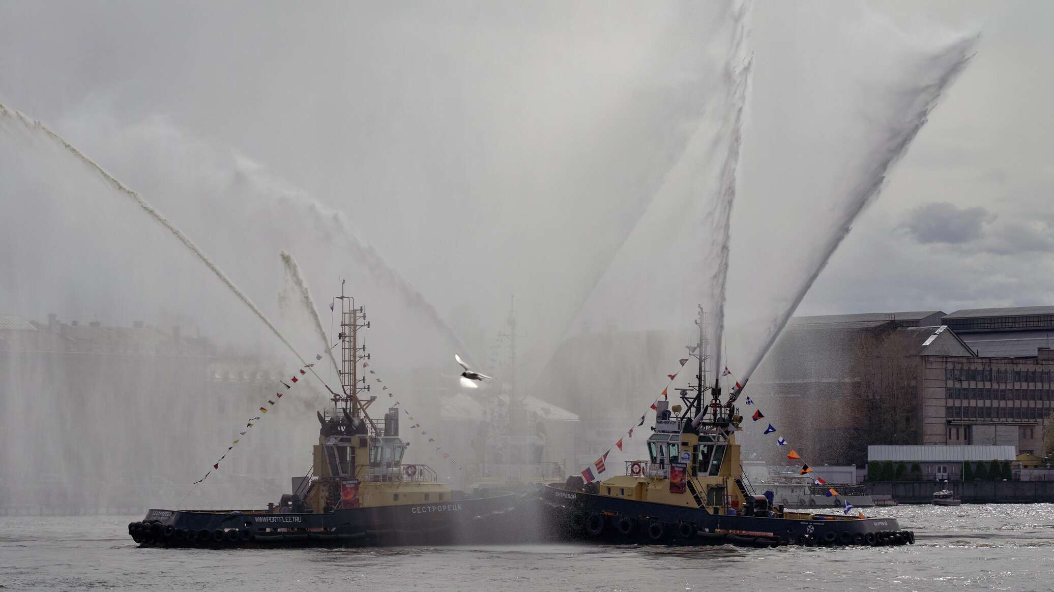 ترامب يعترف بتخلف أمريكا عن روسيا في كاسحات الجليد ويعلن بناء 11 كاسحة جديدة