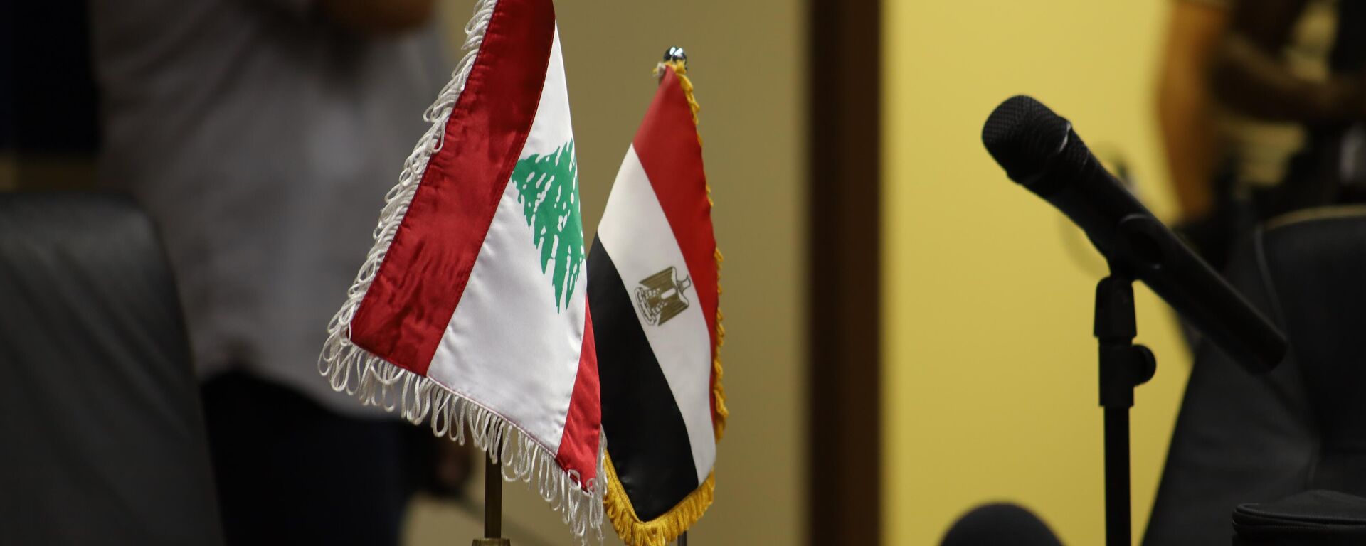 لبنان يوقع عقد شراء الغاز الطبيعي من مصر، وعقد نقل وتبادل مع سوريا - سبوتنيك عربي, 1920, 22.07.2023