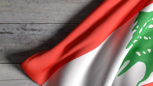مستشار عون: لبنان لم يعد قادر على تحمل أعباء النازحين السوريين  - سبوتنيك عربي