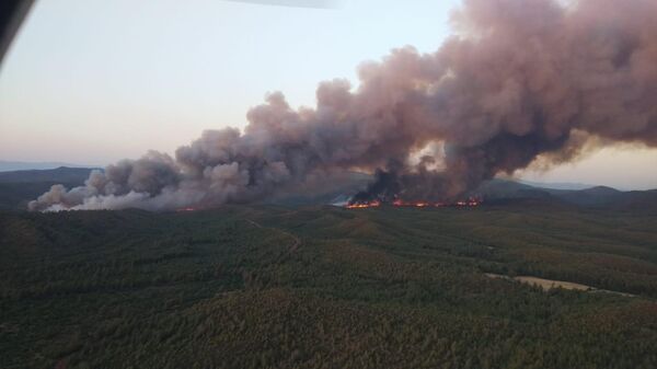 حريق غابات في مرماريس، تركيا - سبوتنيك عربي