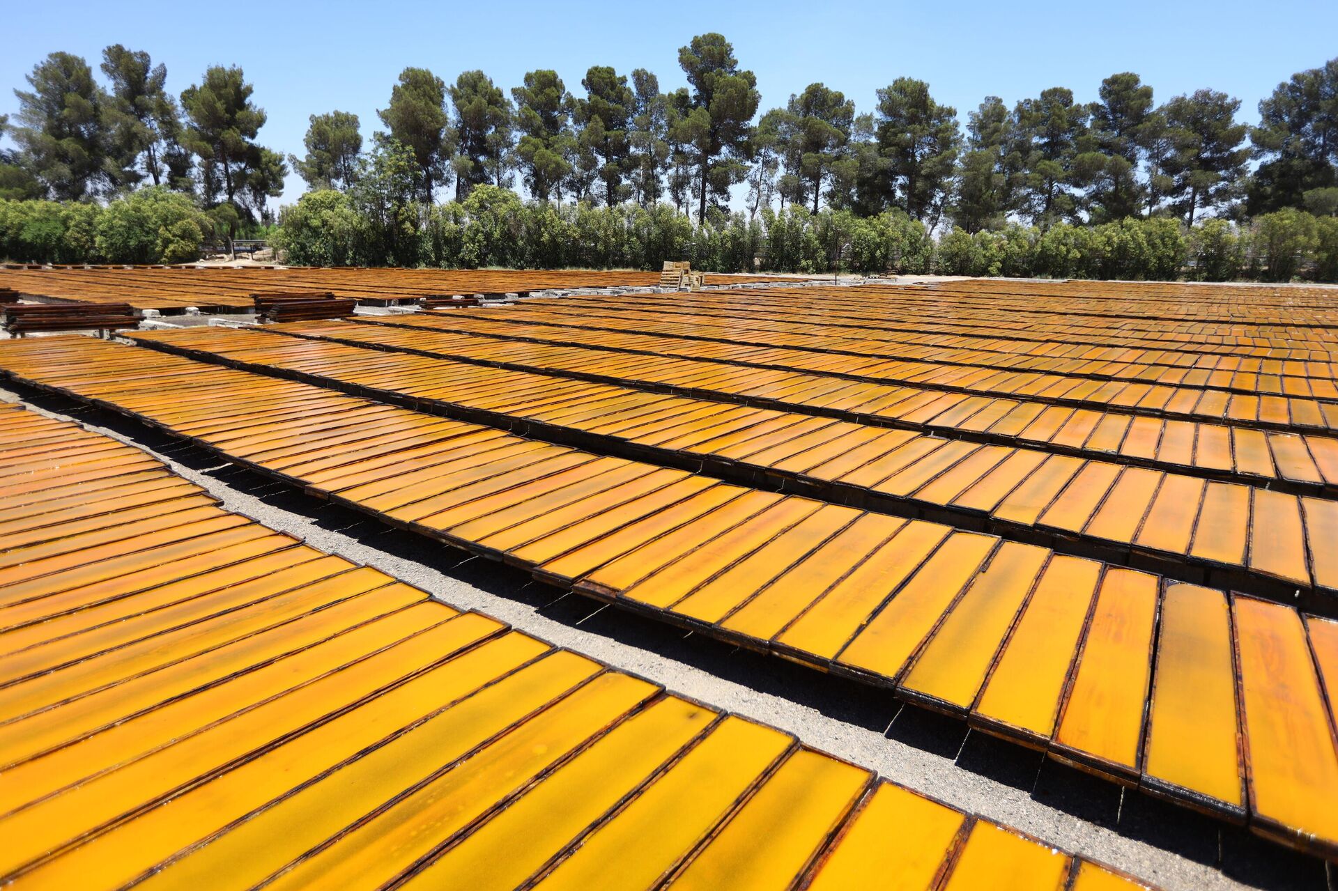 أهالي الغوطة الشرقية لدمشق يجددون انبعاث الحياة في بساتينها - سبوتنيك عربي, 1920, 22.06.2022