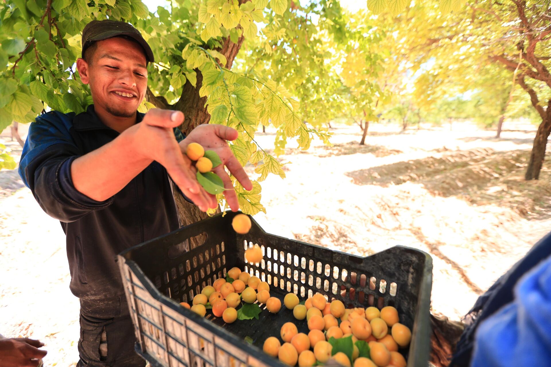 أهالي الغوطة الشرقية لدمشق يجددون انبعاث الحياة في بساتينها - سبوتنيك عربي, 1920, 22.06.2022