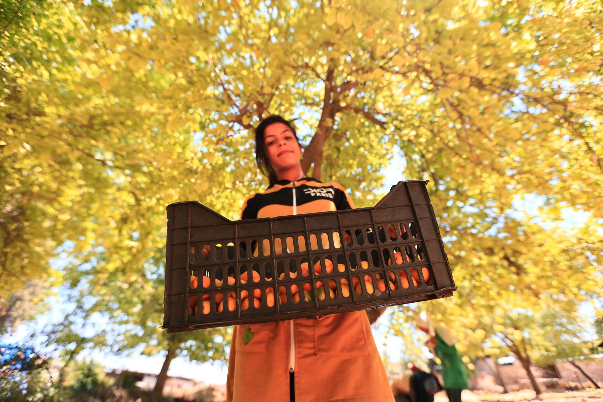 أهالي الغوطة الشرقية لدمشق يجددون انبعاث الحياة في بساتينها - سبوتنيك عربي, 1920, 22.06.2022