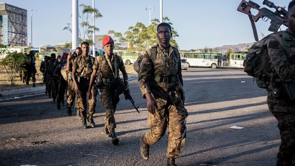 جنود في الجيش الإثيوبي - سبوتنيك عربي