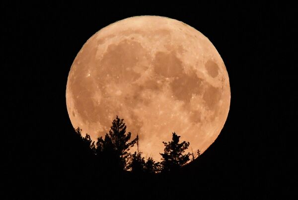 يمكن رؤية القمر العملاق فوق غابات التايغا السيبيرية في إقليم كراسنويارسك، روسيا 13 يوليو 2022 - سبوتنيك عربي