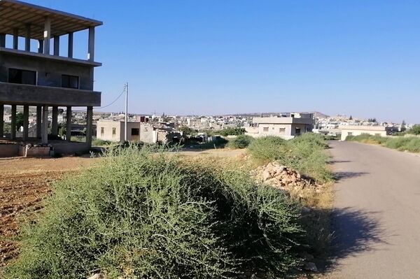 القبار... من رحم الطبيعة يولد رزق سكان ريف حمض الشرقي القبار... من رحم الطبيعة يولد رزق سكان ريف حمض الشرقي - سبوتنيك عربي