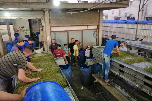 القبار... من رحم الطبيعة يولد رزق سكان ريف حمض الشرقي القبار... من رحم الطبيعة يولد رزق سكان ريف حمض الشرقي - سبوتنيك عربي