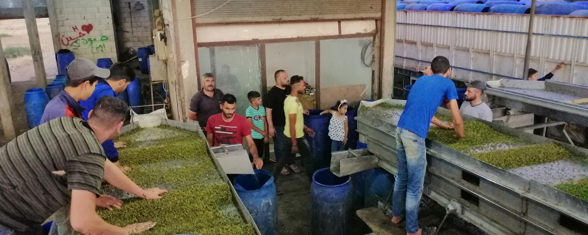 القبار... من رحم الطبيعة يولد رزق سكان ريف حمض الشرقي - سبوتنيك عربي, 1920, 01.08.2022