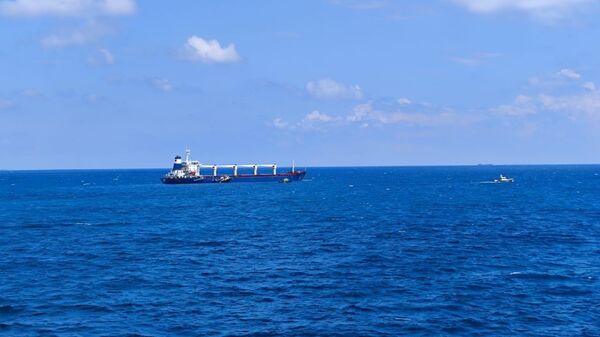 سفينة ريزوني المحملة بالذرة في اسطنبول، تركيا 3 أغسطس 2022 - سبوتنيك عربي