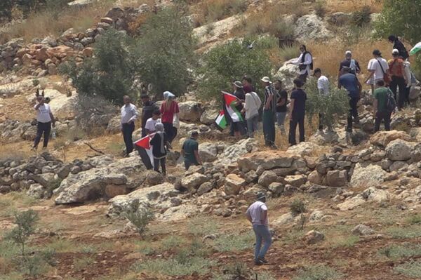 عشرات الإصابات خلال قمع الجيش الإسرائيلي مسيرات ضد الاستيطان في الضفة الغربية - سبوتنيك عربي