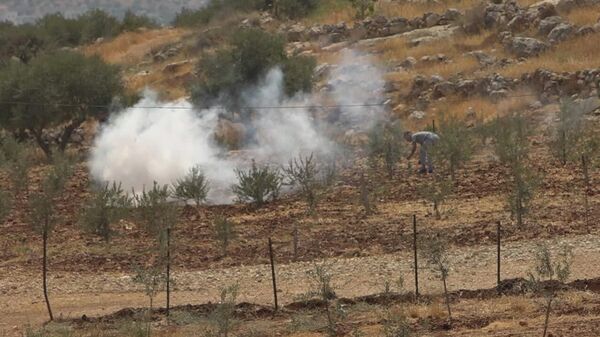 عشرات الإصابات خلال قمع الجيش الإسرائيلي مسيرات ضد الاستيطان في الضفة الغربية - سبوتنيك عربي