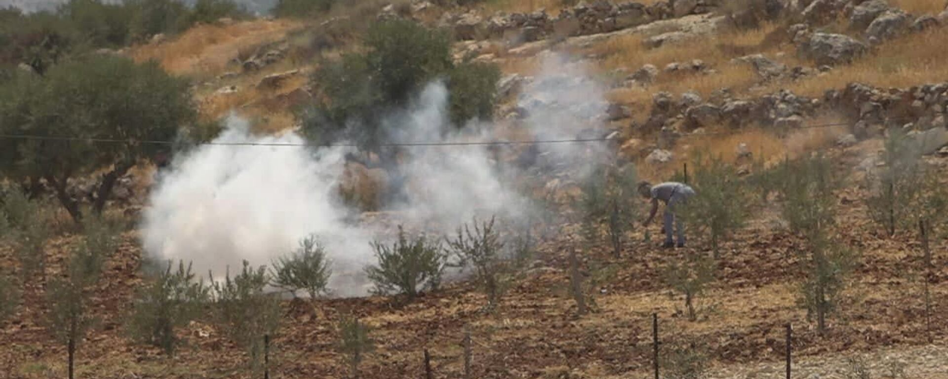 عشرات الإصابات خلال قمع الجيش الإسرائيلي مسيرات ضد الاستيطان في الضفة الغربية - سبوتنيك عربي, 1920, 26.11.2025