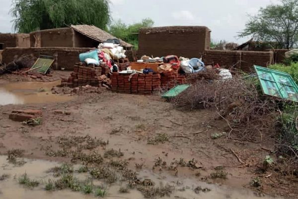السيول والامطار التي اجتاحت ولاية الجزيرة - فيضانات السودان السيول والامطار التي اجتاحت ولاية الجزيرة - فيضانات السودان - سبوتنيك عربي