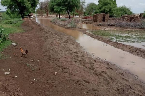 السيول والامطار التي اجتاحت ولاية الجزيرة - فيضانات السودان السيول والامطار التي اجتاحت ولاية الجزيرة - فيضانات السودان - سبوتنيك عربي