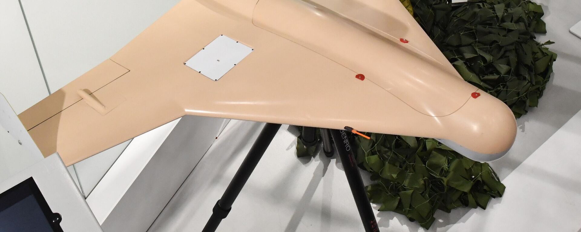 مسيرة كوب - سبوتنيك عربي, 1920, 30.08.2022