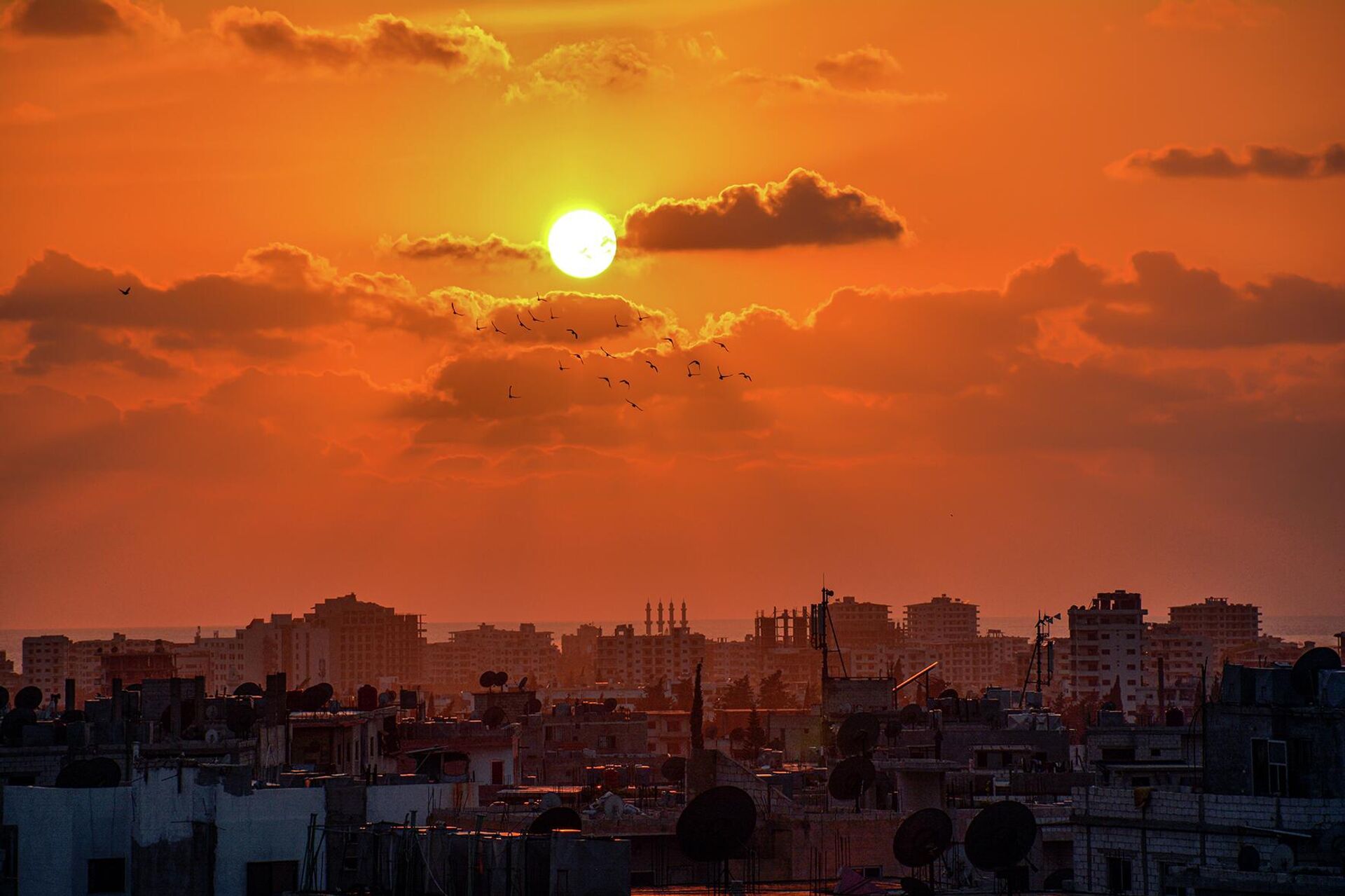 الاصطياف على سواحل اللاذقية، سوريا - سبوتنيك عربي, 1920, 02.09.2022