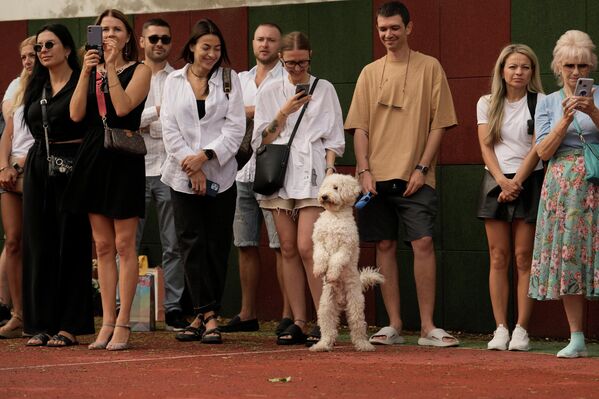 كلب يقف مع أولياء أمور وأفراد عائلات الأطفال اللاجئين الأوكرانيين خلال حفل افتتاح المدرسة في بوخارست، رومانيا، 1 سبتمبر 2022 - سبوتنيك عربي