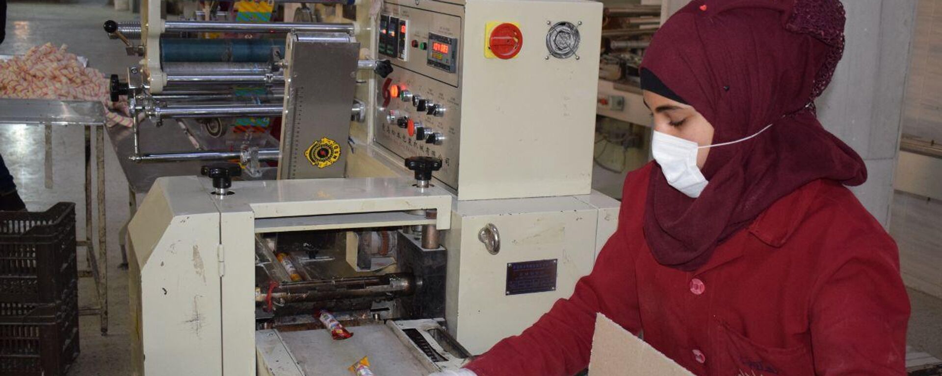 رغم الحرب.. سوريا تصدّر منتجاتها الغذائية لأكثر من 100 دولة - سبوتنيك عربي, 1920, 04.09.2022