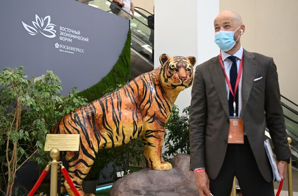 منحوتة نمر آمور بتقنية الفسيفساء الكهرمانية، تم إنشاؤه بواسطة متخصصين في كالينينغراد أمبر كومبين التابع لشركة الدولة روستيخ، في معرض المنتدى الاقتصادي العالمي في فلاديفوستوك، روسيا 5 سبتمبر 2022  - سبوتنيك عربي