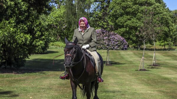 ملكة بريطانيا إليزابيث الثانية تركب بالمورال فيرن، فيل بوني البالغ من العمر 14 عامًا، في وندسور هوم بارك، غرب لندن، خلال عطلة نهاية الأسبوع في 30 مايو و 31 مايو 2020. - سبوتنيك عربي