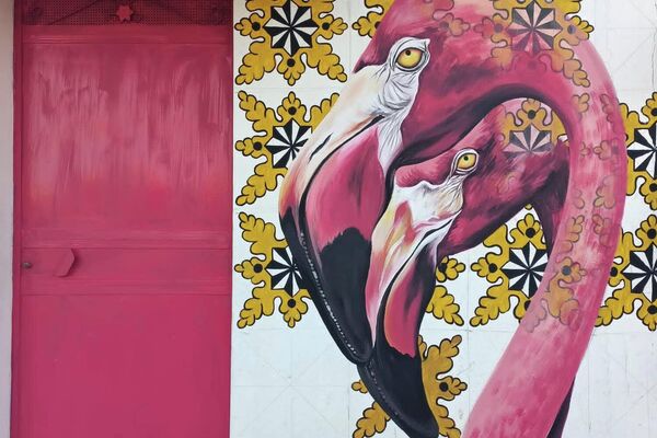 جداريات في القرى التونسي - سبوتنيك عربي