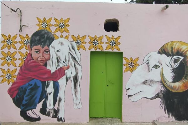 جداريات في القرى التونسية - سبوتنيك عربي