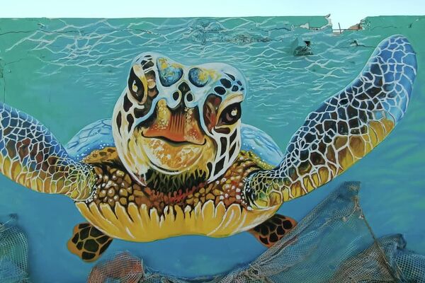 جداريات في القرى التونسية - سبوتنيك عربي