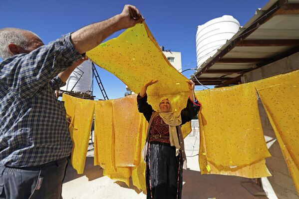 الفلسطيني عبد اللطيف كراجه وزوجته نبيهة يحضران حلويات الملبن التقليدية المصنوعة من عصير العنب، في قرية حلحول بالقرب من مدينة الخليل بالضفة الغربية المحتلة، 12 سبتمبر 2022. - سبوتنيك عربي