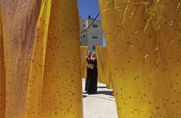 الفلسطيني عبد اللطيف كراجه وزوجته نبيهة يحضران حلويات الملبن التقليدية المصنوعة من عصير العنب، في قرية حلحول بالقرب من مدينة الخليل بالضفة الغربية المحتلة، 12 سبتمبر 2022. - سبوتنيك عربي