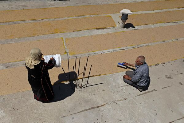 الفلسطيني عبد اللطيف كراجه وزوجته نبيهة يحضران حلويات الملبن التقليدية المصنوعة من عصير العنب، في قرية حلحول بالقرب من مدينة الخليل بالضفة الغربية المحتلة، 12 سبتمبر 2022. - سبوتنيك عربي