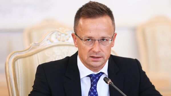  وزير خارجية هنغاريا بيتر سيارتو - سبوتنيك عربي
