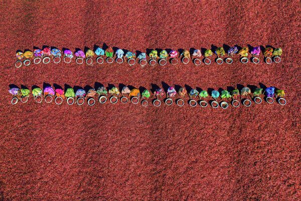 صورة بعنوان أحلام سرية، للمصور عبدالله مؤمن، من بنغلادش. كوكبي. صورة فردية، التي نالت المركز الأول في مسابقة أندريه ستينين للتصوير الصحفي الدولي - سبوتنيك عربي