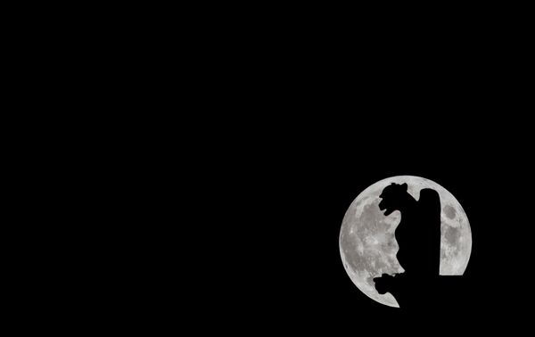 يرتفع القمر المكتمل خلف جرغول في كاتدرائية نوتردام دي باريس، فرنسا 9 أكتوبر 2022. - سبوتنيك عربي