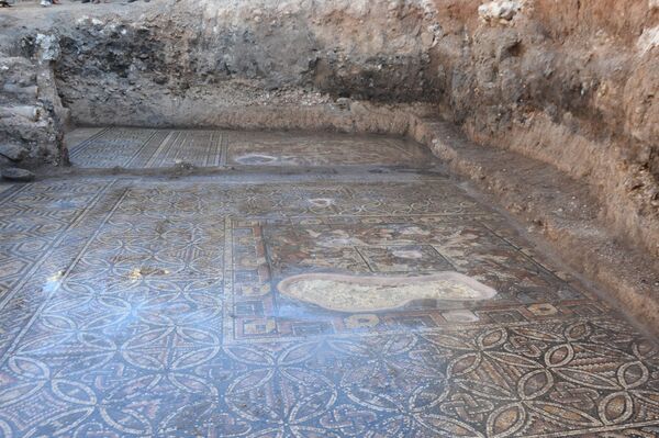 اكتشاف لوحة فسيفسائية، تعتبر الأندر عالمياً، في مدينة (الرستن الفوقاني) في محافظة حمص وسط سوريا - سبوتنيك عربي