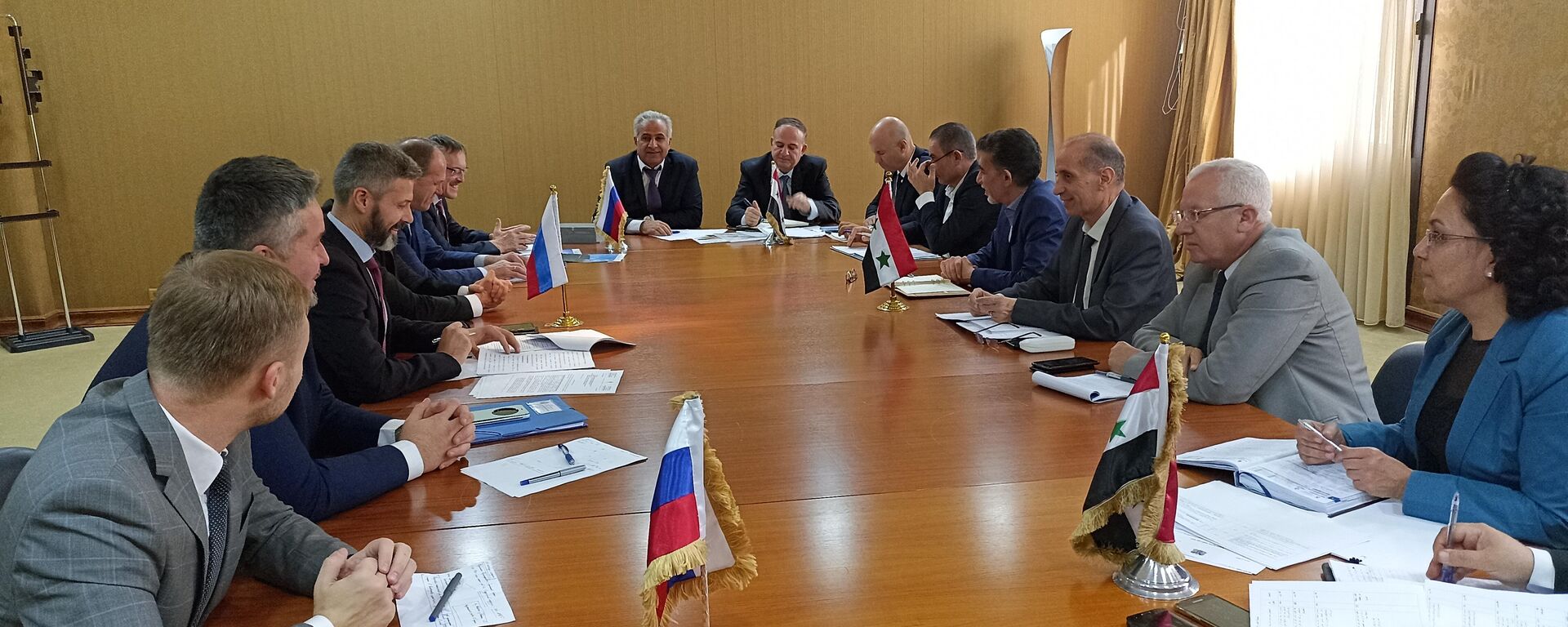 اجتماعات روسية سورية لدعم دمشق في قطاعات الطاقة والصحة والزراعة - سبوتنيك عربي, 1920, 17.10.2022