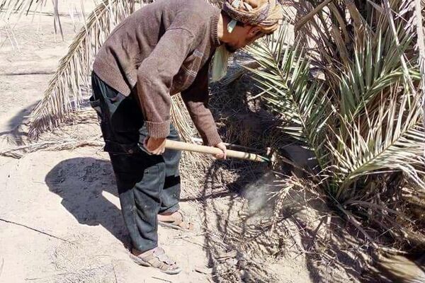 عمال ومسؤولو مركز الإكثار في مدينة البوكمال على الحدود السورية العراقية عمال ومسؤولو مركز الإكثار في مدينة البوكمال على الحدود السورية العراقية - سبوتنيك عربي