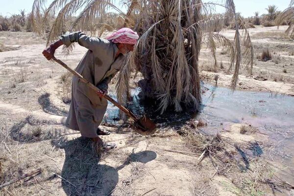 عمال ومسؤولو مركز الإكثار في مدينة البوكمال على الحدود السورية العراقية عمال ومسؤولو مركز الإكثار في مدينة البوكمال على الحدود السورية العراقية - سبوتنيك عربي