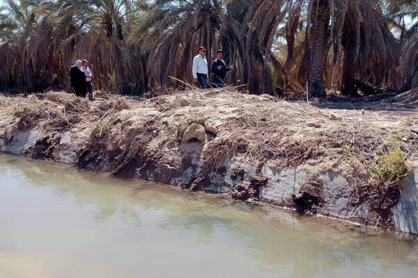 عمال ومسؤولو مركز الإكثار في مدينة البوكمال على الحدود السورية العراقية عمال ومسؤولو مركز الإكثار في مدينة البوكمال على الحدود السورية العراقية - سبوتنيك عربي
