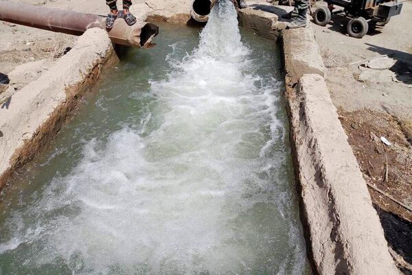 عمال ومسؤولو مركز الإكثار في مدينة البوكمال على الحدود السورية العراقية عمال ومسؤولو مركز الإكثار في مدينة البوكمال على الحدود السورية العراقية - سبوتنيك عربي