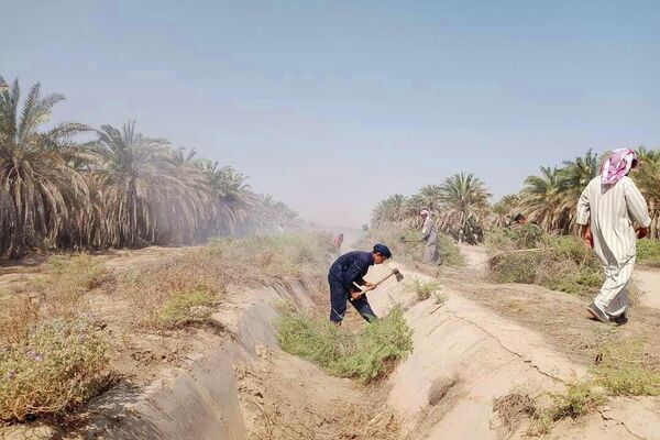 عمال ومسؤولو مركز الإكثار في مدينة البوكمال على الحدود السورية العراقية عمال ومسؤولو مركز الإكثار في مدينة البوكمال على الحدود السورية العراقية - سبوتنيك عربي