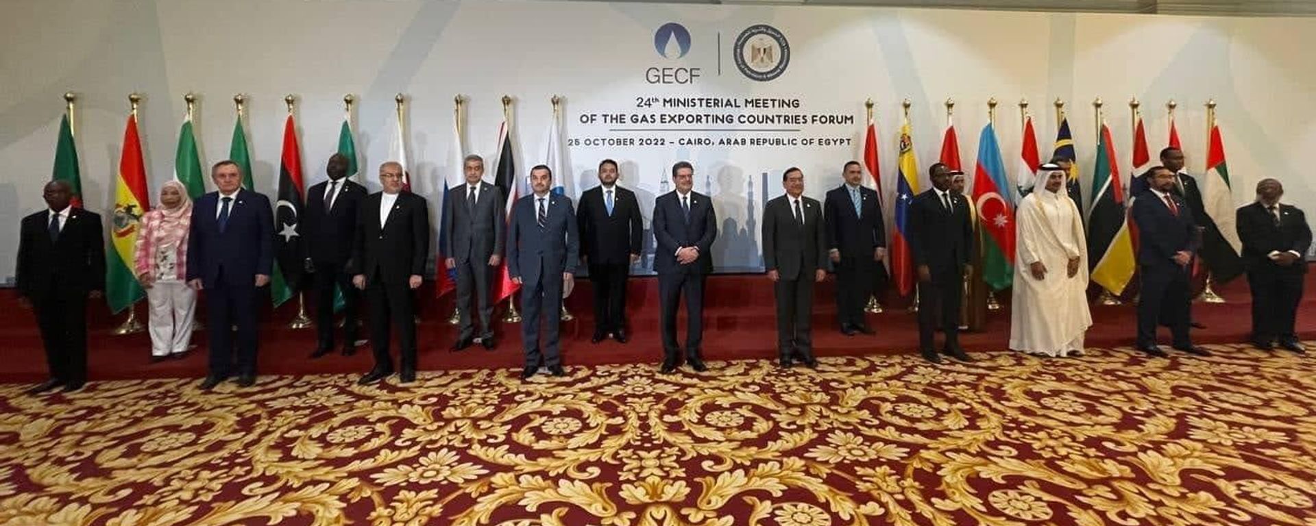 الاجتماع الوزاري الرابع والعشرين لمنتدى الدول المصدرة للغاز بالقاهرة الاجتماع الوزاري الرابع والعشرين لمنتدى الدول المصدرة للغاز بالقاهرة - سبوتنيك عربي, 1920, 25.10.2022