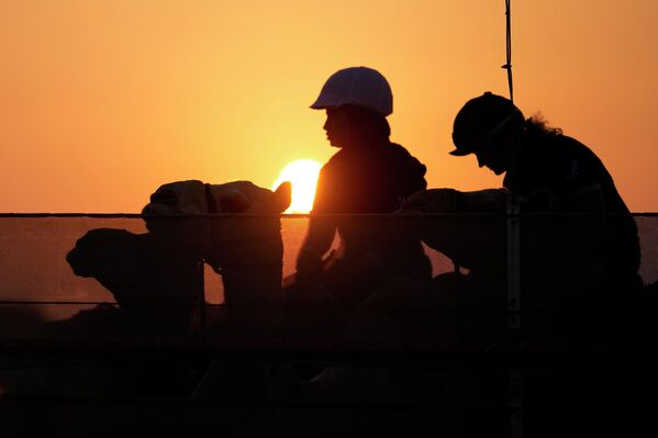 متسابقات الهجن بعد مشاركتهن في السباق الأول للموسم الذي نظمه مركز ركوب الجمال في الصحراء العربية في مضمار المرموم في ضاحية دبي، الإمارات العربية المتحدة،  29 أكتوبر 2022. - سبوتنيك عربي