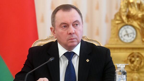 وزير الخارجية البيلاروسي فلاديمير ماكي - سبوتنيك عربي