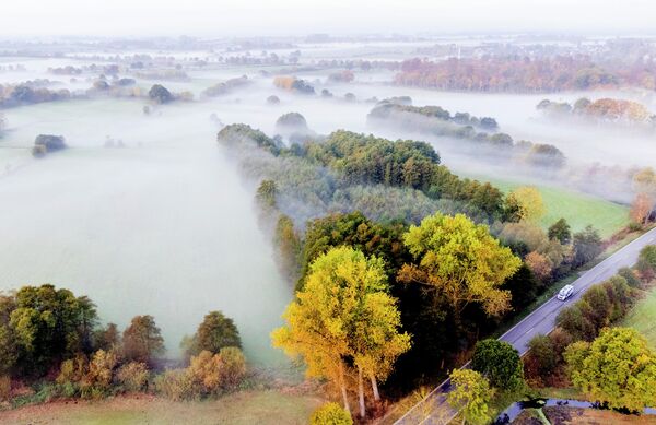 الضباب يخيم على الحقول في تيمندورفر ستراند في بحر البلطيق، ألمانيا، 29 أكتوبر 2022 - سبوتنيك عربي