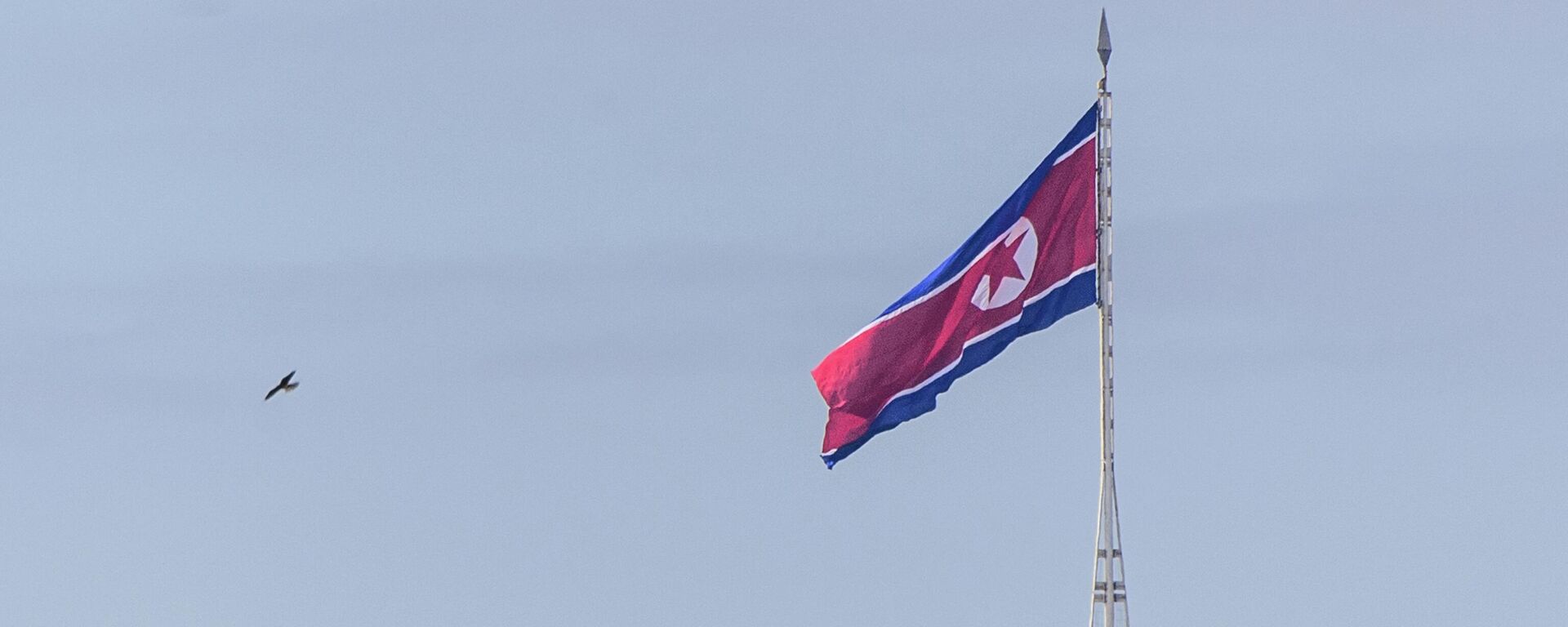 علم كوريا الشمالية - سبوتنيك عربي, 1920, 18.07.2023